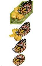 Papillon Feuille 3D n° 3