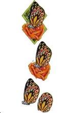 Papillon Feuille 3D n° 41