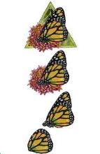 Papillon Feuille 3D n° 36