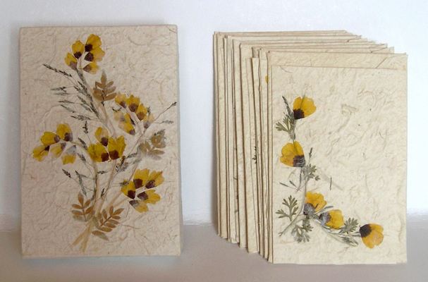 Boite PM + 9 cartes simples + 9 enveloppes - Fleurs jaune
