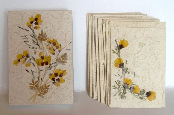Boite PM + 9 cartes simples + 9 enveloppes - Fleurs jaune