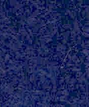 Feuille Umbria - GRIS-BLEU