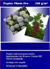 Papier photo blanc A4, 240 gr, Les 10 feuilles