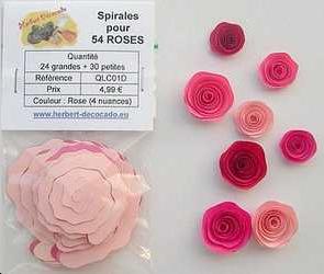 Spirales pour 54 roses ROSE